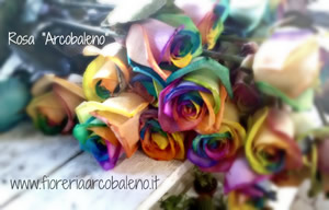 Fioreria Arcobaleno rose arcobaleno